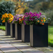 Industrial-style metal planters adding an edgy vibe.