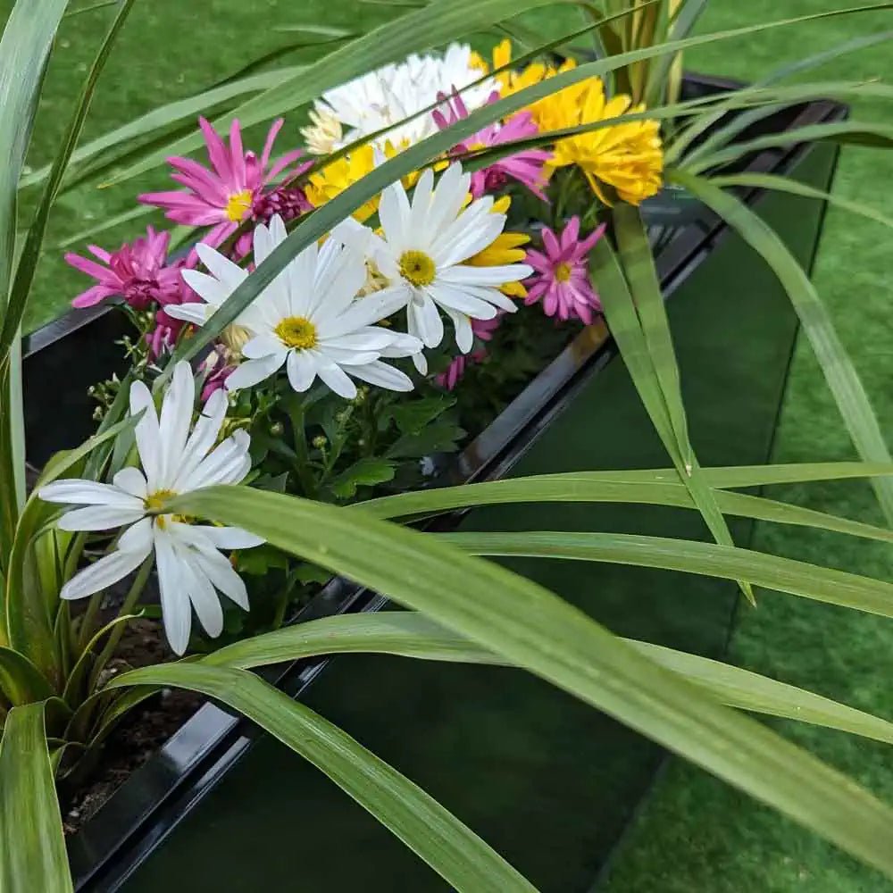 Extra large plant pots outdoor, perfect for big botanical dreams.