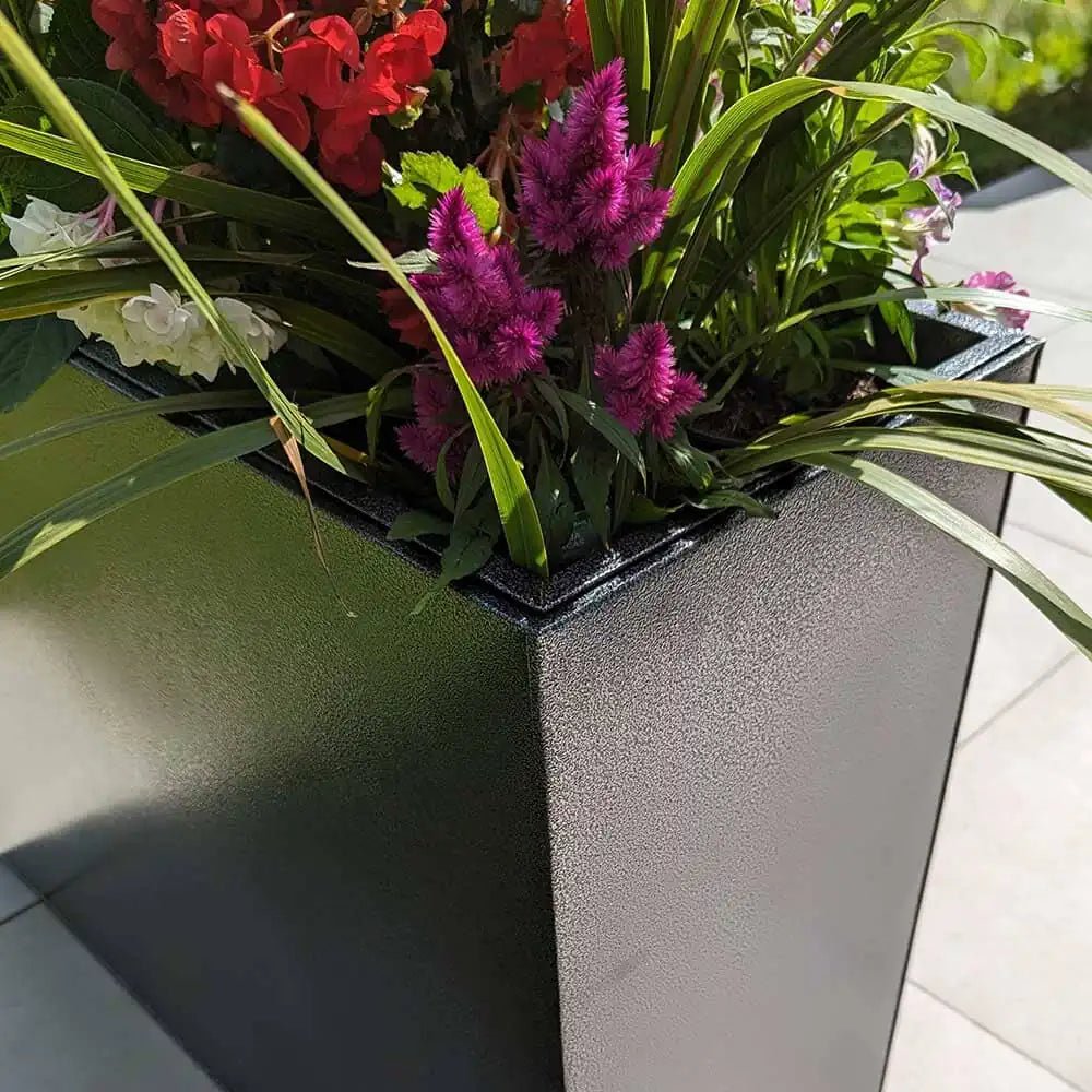 Rows of trough planters filled with vibrant flowers