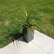 Vintage zinc planters adding character to a garden space