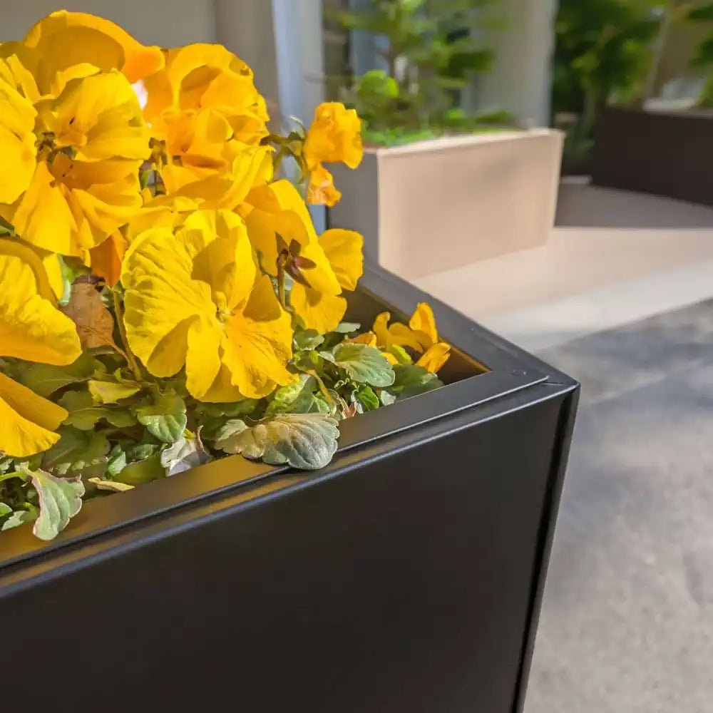 Galvanised aluzinc matte black tall trough