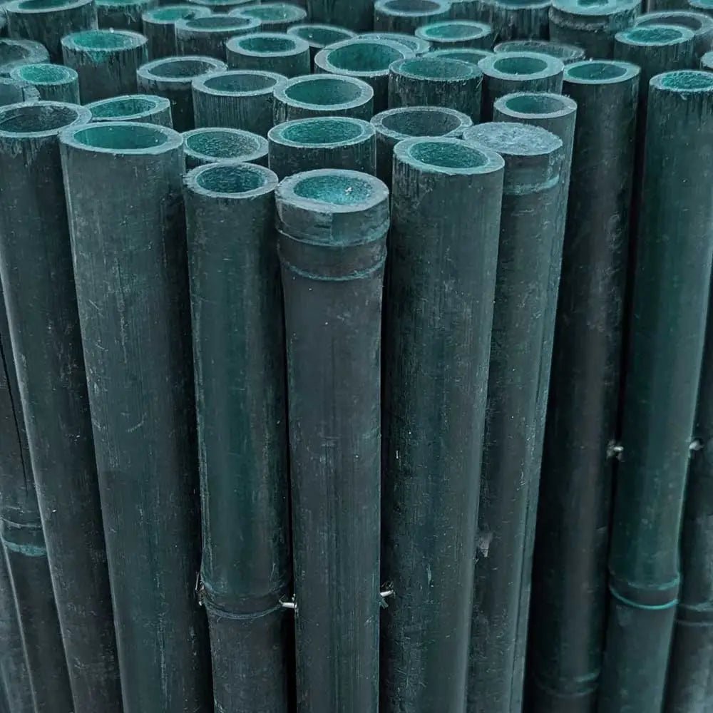 teal thick bamboo screening closeup