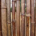 Black Premium 2-4cm Thick Bamboo Cane Fencing Screening Rolls