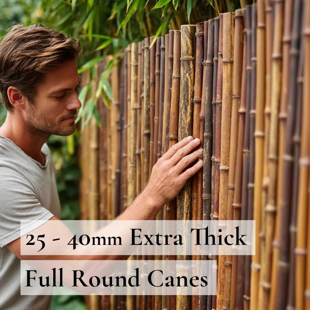 Black Premium Thick Bamboo Cane Fencing Screening Rolls