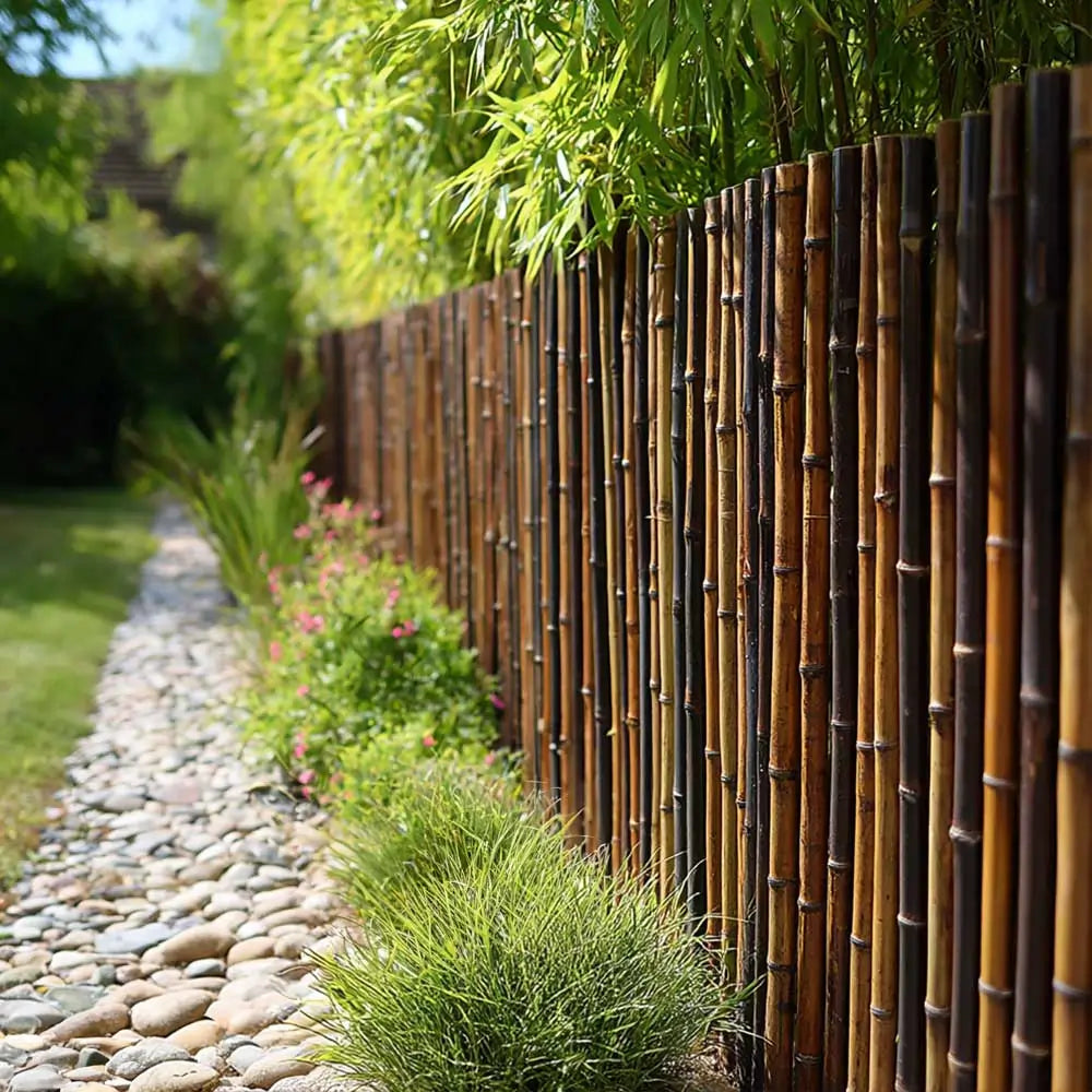 Black Premium Thick Bamboo Cane Fencing Screening Rolls