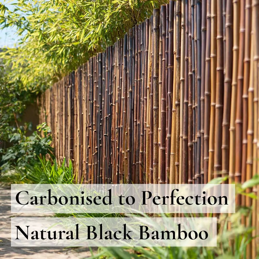 Black Premium Thick Bamboo Cane Fencing Screening Rolls