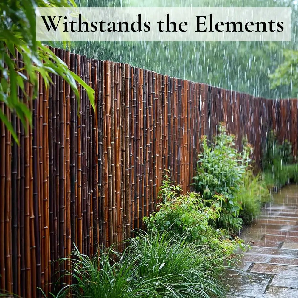 Black Premium Thick Bamboo Cane Fencing Screening Rolls
