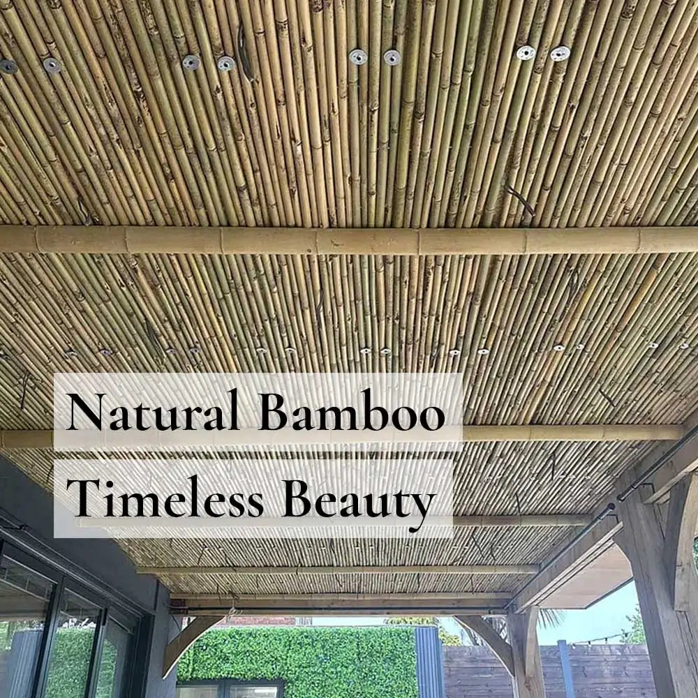 Natural Premium Thick Bamboo Cane Fencing Screening Rolls