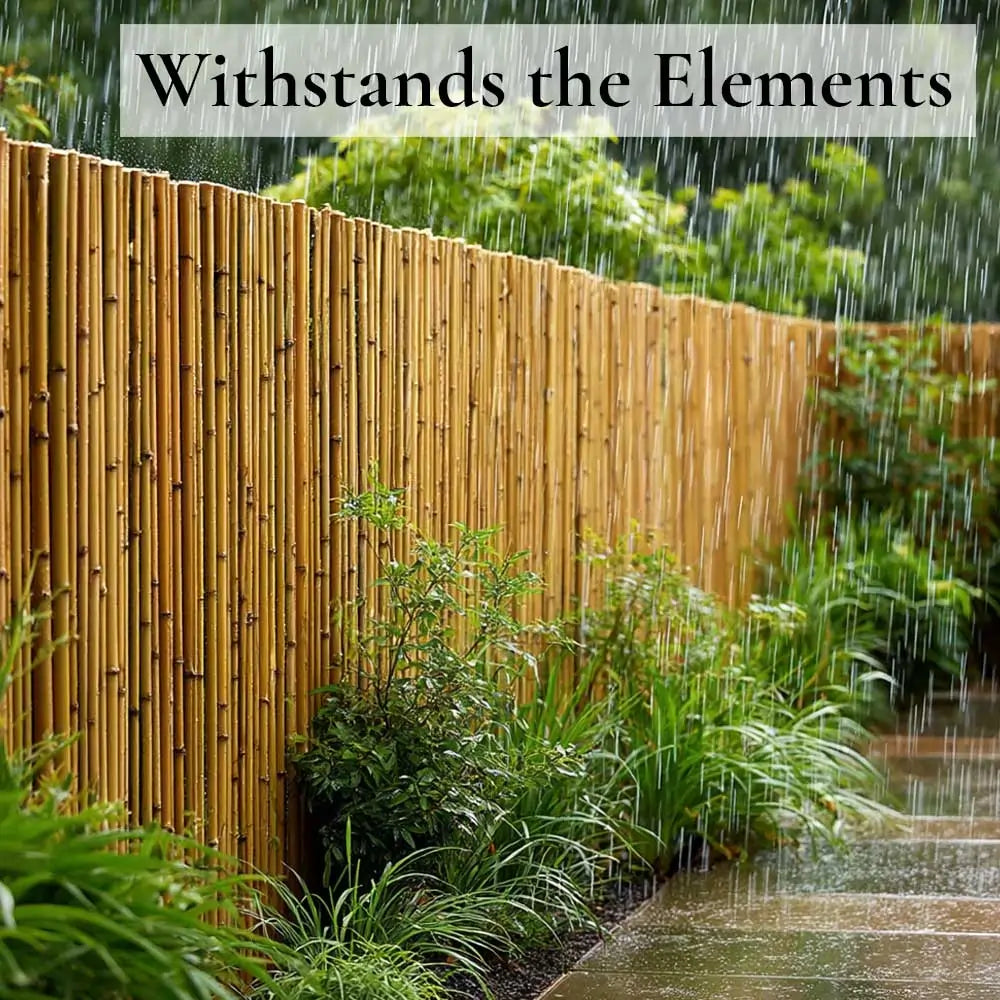 Natural Premium Thick Bamboo Cane Fencing Screening Rolls
