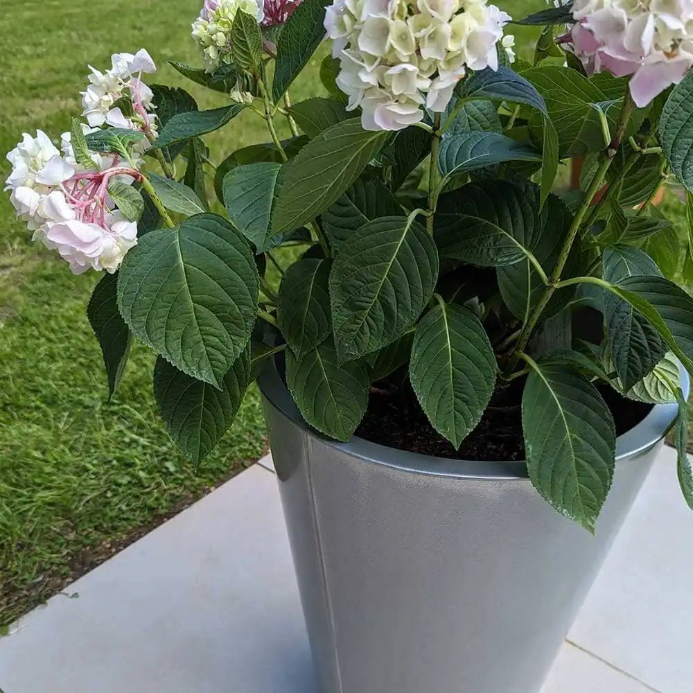 Decorative plant pots arranged on a patio