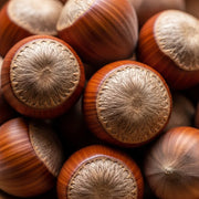 3ft 'Webb's Prize' Hazelnut Tree | Corylus avellana | 3L Pot