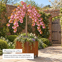 Weeping cherry tree planted in a corten steel cube planter
