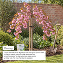 How to plant a weeping cherry tree in the ground