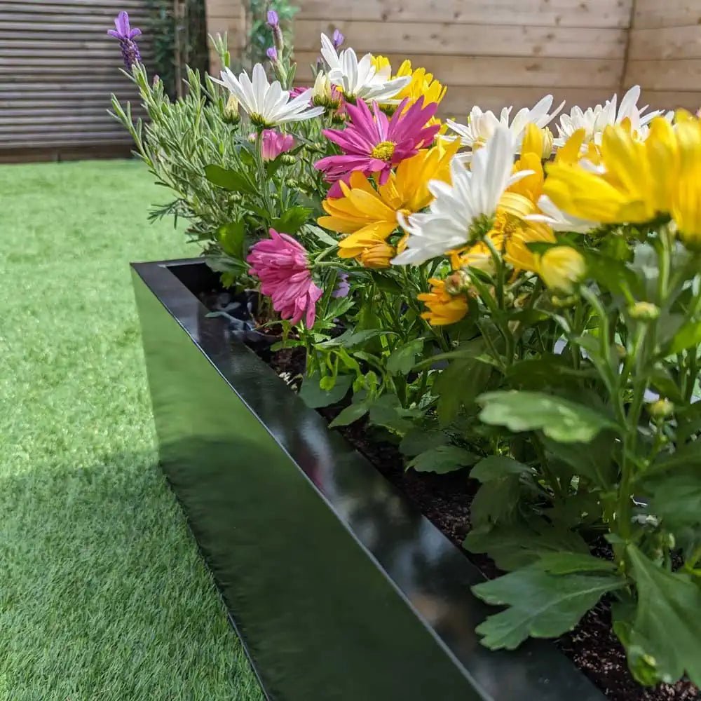 Charming windowsill boxes adding a touch of nature to urban living.
