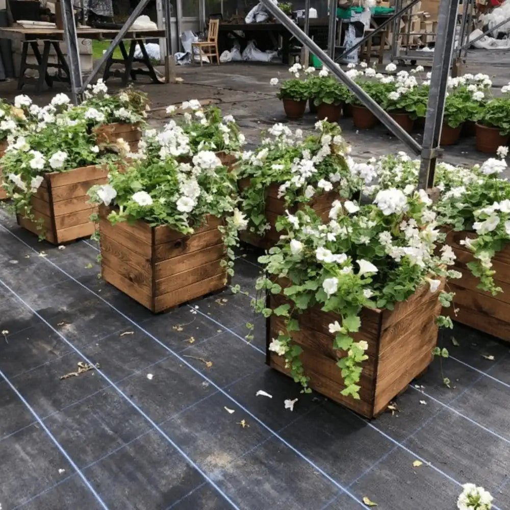 Large Trough Wooden Planters by Woven Wood 40cm Redwood Cube