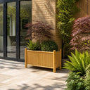 02 insitu natural