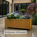 06 seasons natural