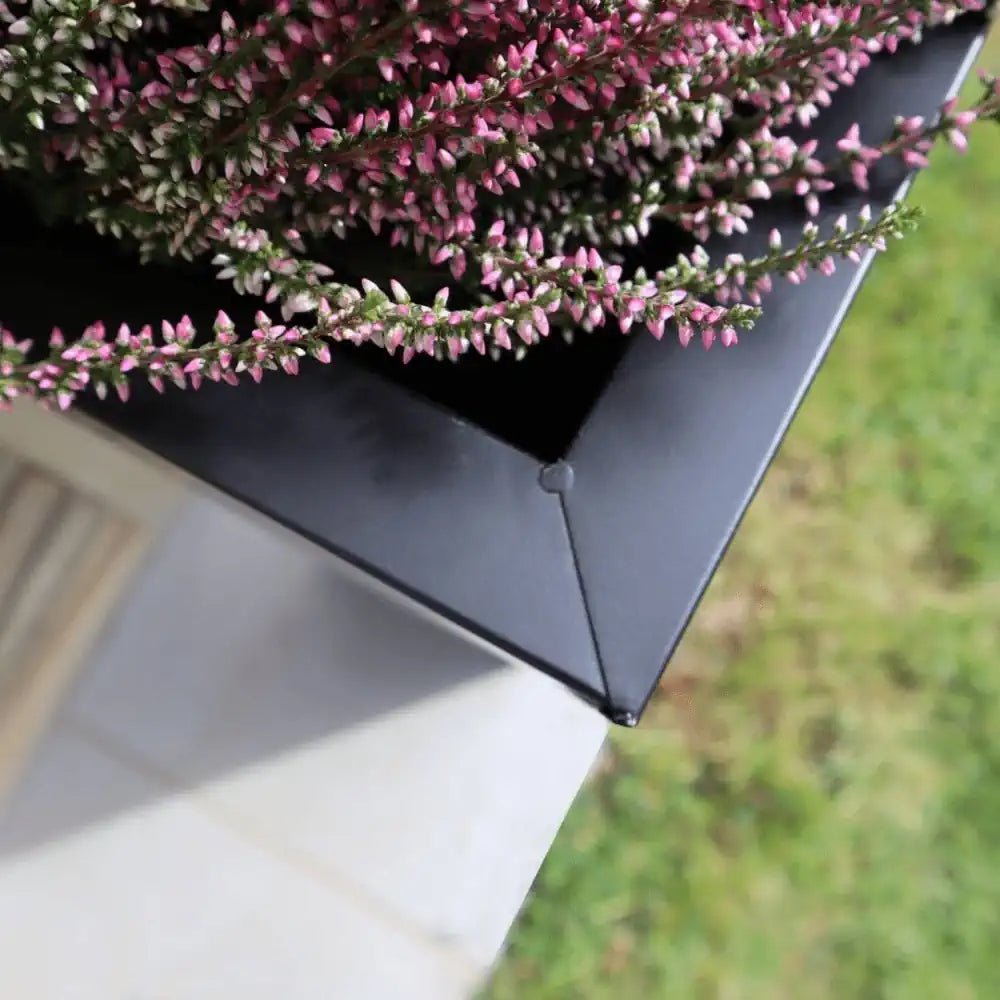 Galvanised matte black planter on sale now at Woven Wood