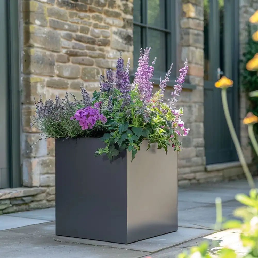 Grey cube plant pots placed strategically along a pathway, creating visual interest.