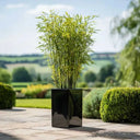 50cm Zinc Galvanised Polished Black Tall Square Planter
