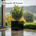 30cm Zinc Galvanised Polished Black Square Planter
