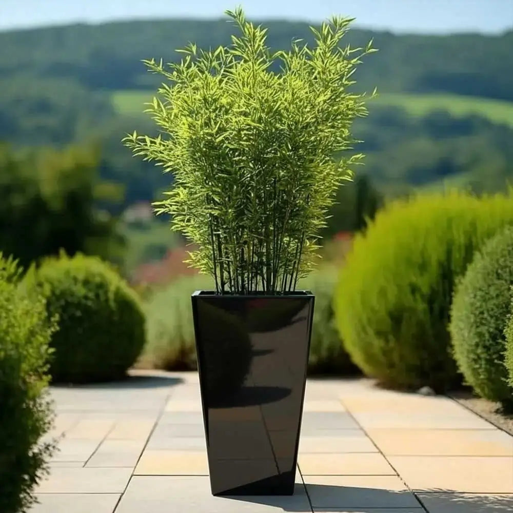 tall outdoor plants in pots for privacy 70cm Zinc Galvanised Polished Black Tall Tapered Square Planter – Woven Wood