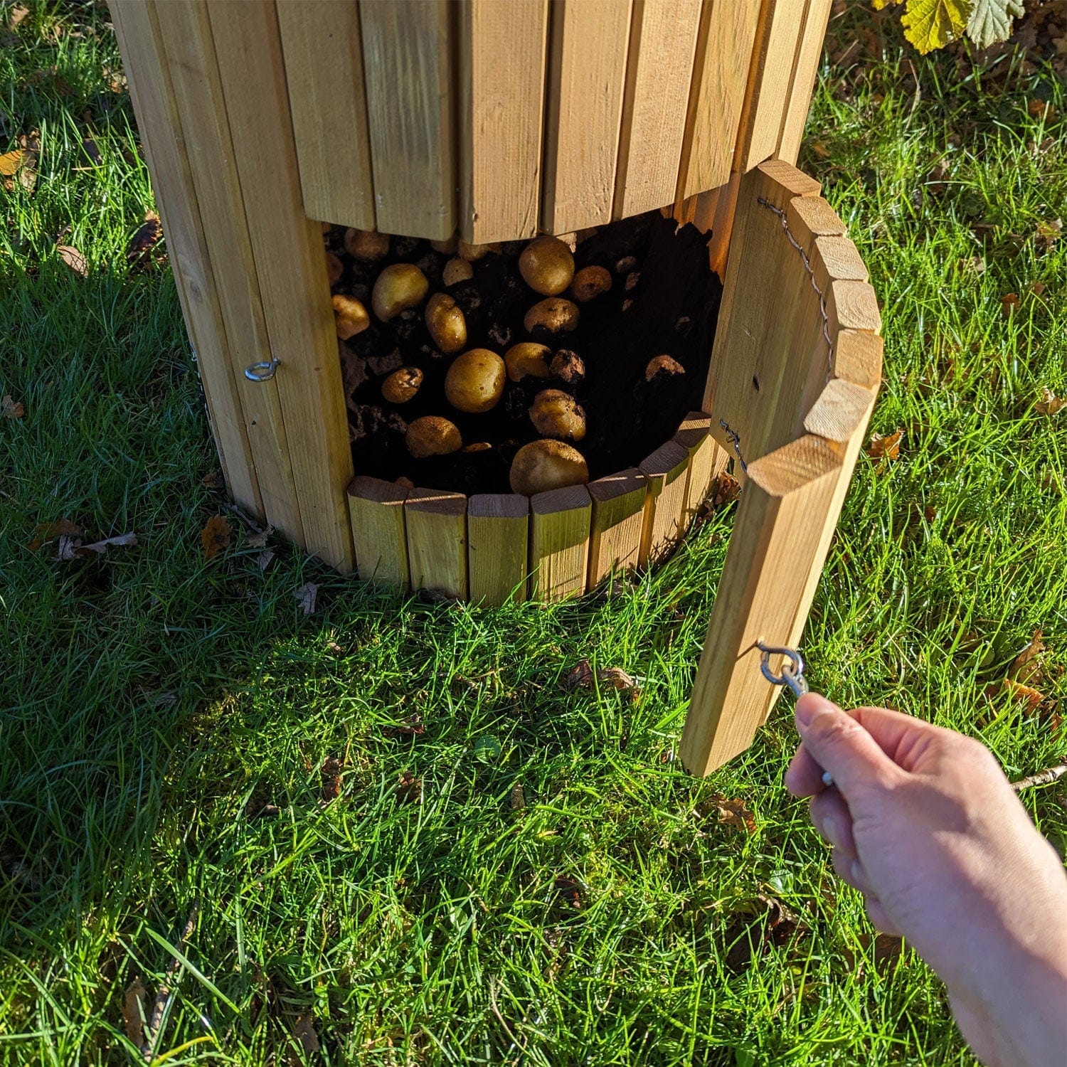 Sustainably made potato barrel for an easy way to grow your own potatoes